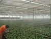 种植户自动喷雾灌溉加湿降温设备