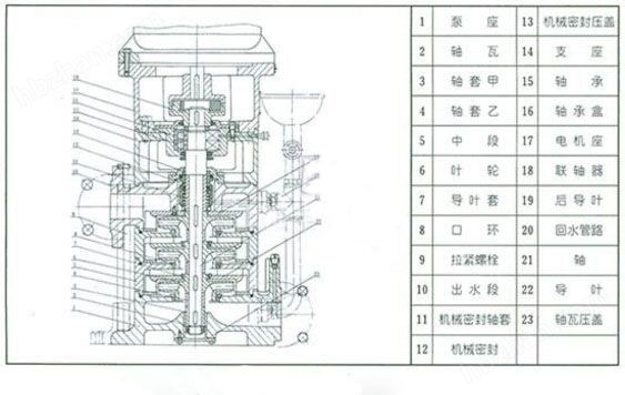 LG立式單吸多級(jí)泵結(jié)構(gòu)圖 LG立式單吸多級(jí)泵結(jié)構(gòu)圖