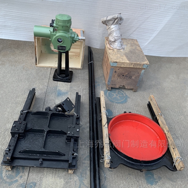 电动铸铁镶铜双向止水闸门