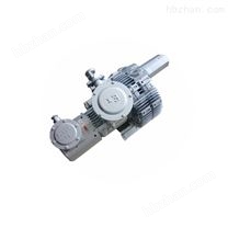 3KW粉塵防爆環(huán)形漩渦鼓風(fēng)機(jī)